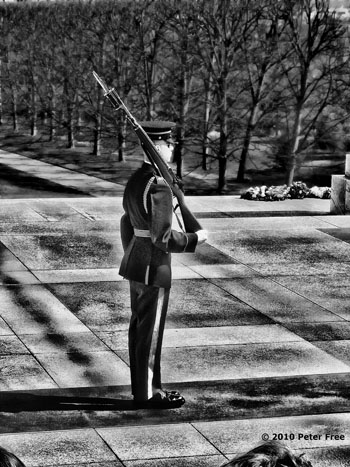 Photo by Peter Free of Guard at theTomb of the Unknown Soldier, Arlington National Cemetary